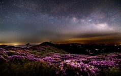 - 산림조합중앙회