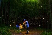봉화군산림조합(1종) | - 산림조합중앙회