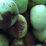 돌고래 시장 - 분당구 내정로174번길 42에서의 사진