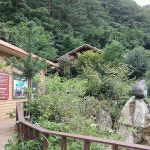 커피커퍼 왕산 커피농장 - 카페에서의 사진