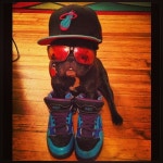 Woof in Boots | Doggy Day Care | Boarding | Grooming | Training | Pet Taxi - Denver에서 애완동물 서비스일에서의 사진