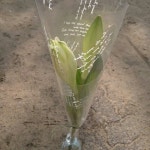 돌고래 시장 - 분당구 내정로174번길 42에서의 사진