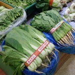 돌고래 시장 - 분당구 내정로174번길 42에서의 사진