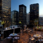 Salon de Ning - Midtown East - 뉴욕, NY에서의 사진