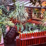 The Faltering Fullback - Stroud Green - 19 Perth Rd에서의 사진