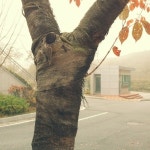 서울시수안보공무원연수원 - 방문자 38명에서의 사진