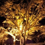 설악파인리조트 - 관광로408번길 14에서의 사진