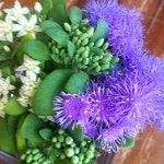 화가 (Flower Gallery) - 논현2동에서 꽃집일에서의 사진