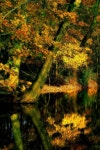 S025 by Gary  Banzhoff | Redbubble ‘S025’  by Gary  Banzhoff