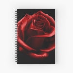 Paint the Roses Red Journal for Sale by fairyl | Redbubble Paint the Roses Red Journal for Sale by fairyl
