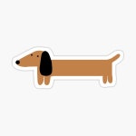 Sausage Dog Dachshund  Sticker for Sale by CamSkot | Redbubble Sausage Dog Dachshund  Sticker for Sale by CamSkot