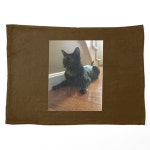 Tortitude  Pet Blanket for Sale by Amanda1775 | Redbubble Tortitude  Pet Blanket for Sale by Amanda1775