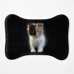 Tortitude  Pet Mat for Sale by Amanda1775 | Redbubble Tortitude  Pet Mat for Sale by Amanda1775