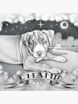 Coussins sur le thème Male Puppy | Redbubble Coussins sur le thème Male Puppy