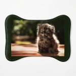 Tortitude  Pet Mat for Sale by Amanda1775 | Redbubble Tortitude  Pet Mat for Sale by Amanda1775
