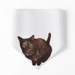 Mind Blown  Pet Bandana for Sale by Amanda1775 | Redbubble Mind Blown  Pet Bandana for Sale by Amanda1775