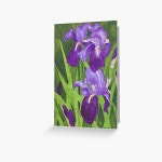 PERSONAL - My Universe, Iris, Polaris, Phoebe Greeting Card for Sale by AstroAppa | Redbubble PERSONAL - My Universe, Iris... 