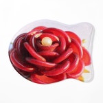 The Vibrancy of a Red Rose Pet Mat for Sale by jackbermess | Redbubble The Vibrancy of a Red Rose Pet Mat for Sale by jackbermess