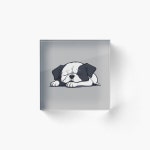 Cute Sleeping Lion Acrylic Block for Sale by Leonardo Palumbo | Redbubble Cute Sleeping Lion Acrylic Block for Sale by... 