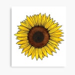 sunflower Canvas Print for Sale by welallmwel | Redbubble sunflower Canvas Print for Sale by welallmwel