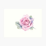 Pink Rose Art Print for Sale by Louisedemasi | Redbubble Pink Rose Art Print for Sale by Louisedemasi