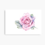 Pink Rose Canvas Print for Sale by Louise De Masi | Redbubble Pink Rose Canvas Print for Sale by Louise De Masi