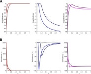 Leave-One-Trial-Out, LOTO, a general approach to link single-trial parameters of cognitive models to neural data | eLife Leave... 