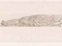 the corpse - Rijksmuseum the corpse