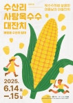 제주관광공사 | 알림마당 | 보도자료 > [보도자료] 옥수수처럼 달콤한 초여름날의 마을 여행 “수산리 사탕옥수수 대잔치!” 상세보기