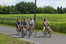 Picture of Honigfrauen