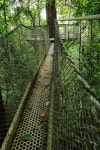 Image of Guyana
