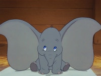Image of Dumbo
