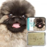 세계 3대 광천수로 만든 아임톡 런칭 [더블리스풀독] 젠틀 터치 도그 고체샴푸 99g