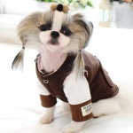 세계 3대 광천수로 만든 아임톡 런칭 [퍼피짱] 쿠키칩 패딩 /강아지패딩