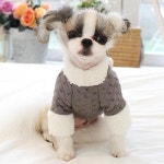 세계 3대 광천수로 만든 아임톡 런칭 [퍼피짱] 하얀겨울 티셔츠/ 강아지누빔