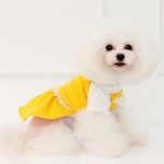 세계 3대 광천수로 만든 아임톡 런칭 [퍼피짱] 바나나 원피스 /강아지원피스