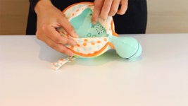 브랜드비(B TOYS) 꿈꾸는거북이 - 사이즈 & 후기 | 무신사