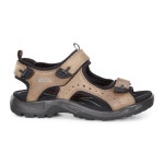 에코-슬리퍼 ECCO Flowt LVX Slide 9795323157529 | 트렌비 에코-슬리퍼 ECCO Flowt LVX Slide  9795323157529 | 트렌비 | www.trenbe.com