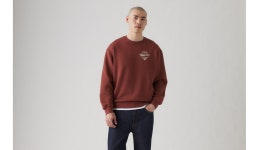 리바이스(Levis) | 릴렉스 그래픽 크루넥 스웻셔츠 Relaxed Graphic Crewneck Sweatshirt 387120458 | 트렌비