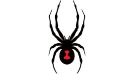 브랜드유니버스 주식회사 채용정보 : [SPYDER] 롯데 부여 아울렛 판매직원 및 평일/주말 아르바이트 구인 - 알바천국