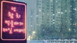 설참치 : 영등동 설참치에서  목 금 토 홀서빙 구합니다. 일급 5만원... - 알바천국 [알바천국] 전북 익산시 / 설참치 / 영등동 설참치에서  목... 