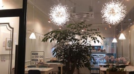 데이지브런치 : 데이지브런치  주말 주중 알바  모집 - 알바천국... 부산 강서구 / 데이지브런치 / 데이지브런치  주말 주중 알바  모집 / 8,720원