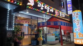 광달이 : 수송동 광달이 회포차 홀서빙 구합니다 - 알바천국 [알바천국] 전북 군산시 / 광달이 / 수송동 광달이 회포차 홀서빙 구합니다 / 9,000원