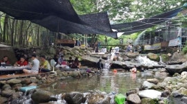 수련오리와닭 : 갓바위 수련오리와 닭에서 같이 일하실 식구 모집해요 :) - 알바천국 [알바천국] 경북 경산시 / 수련오리와닭 / 갓바위... 