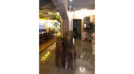 피콜로빠체 : 괴안동 브런치카페 피콜로빠체에서 주말 파트타임... 부천시 / 피콜로빠체 / 괴안동 브런치카페 피콜로빠체에서 주말 파트타임... 