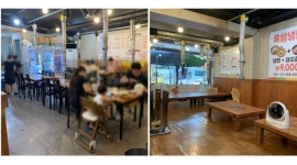 동강수제갈비 : 【 안산 동강수제갈비 / 홀서빙 저녁알바 / 18시~22시... 상록구 / 동강수제갈비 / 【 안산 동강수제갈비 / 홀서빙 저녁알바... 