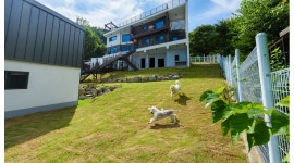 개가사는그집 : 가평 개가사는그집 펜션&카페 직원 구합니다.... (숙소제공) - 알바천국 [알바천국] 전국 전체 / 개가사는그집 / 가평... 