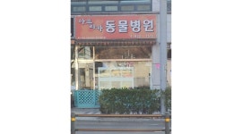 아프리카 동물병원 : 동물병원 업무보조 아르바이트 채용(무경험자 가능) - 알바천국 [알바천국] 인천 연수구 / 아프리카 동물병원 / 동물병원... 