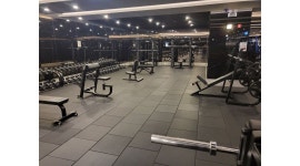 (주)바이칼토탈휘트니스 : (주)BKF 야탑역점 트레이너 정직원,PT프리,필라테스 프리랜서 구인 - 알바천국 [알바천국] 경기 성남시 분당구... 