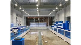 해송수산&탐라수산 : 해송&탐라수산 정직원 - 알바천국 [알바천국] 전북 전주시 덕진구 / 해송수산&탐라수산 / 해송&탐라수산 정직원 / 35,000... 